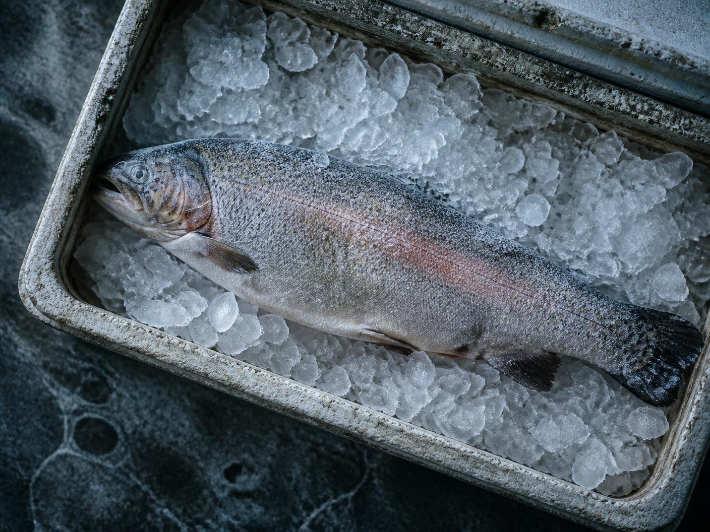 Whole trout packed on crushed ice inside an insulated box, frost on the skin