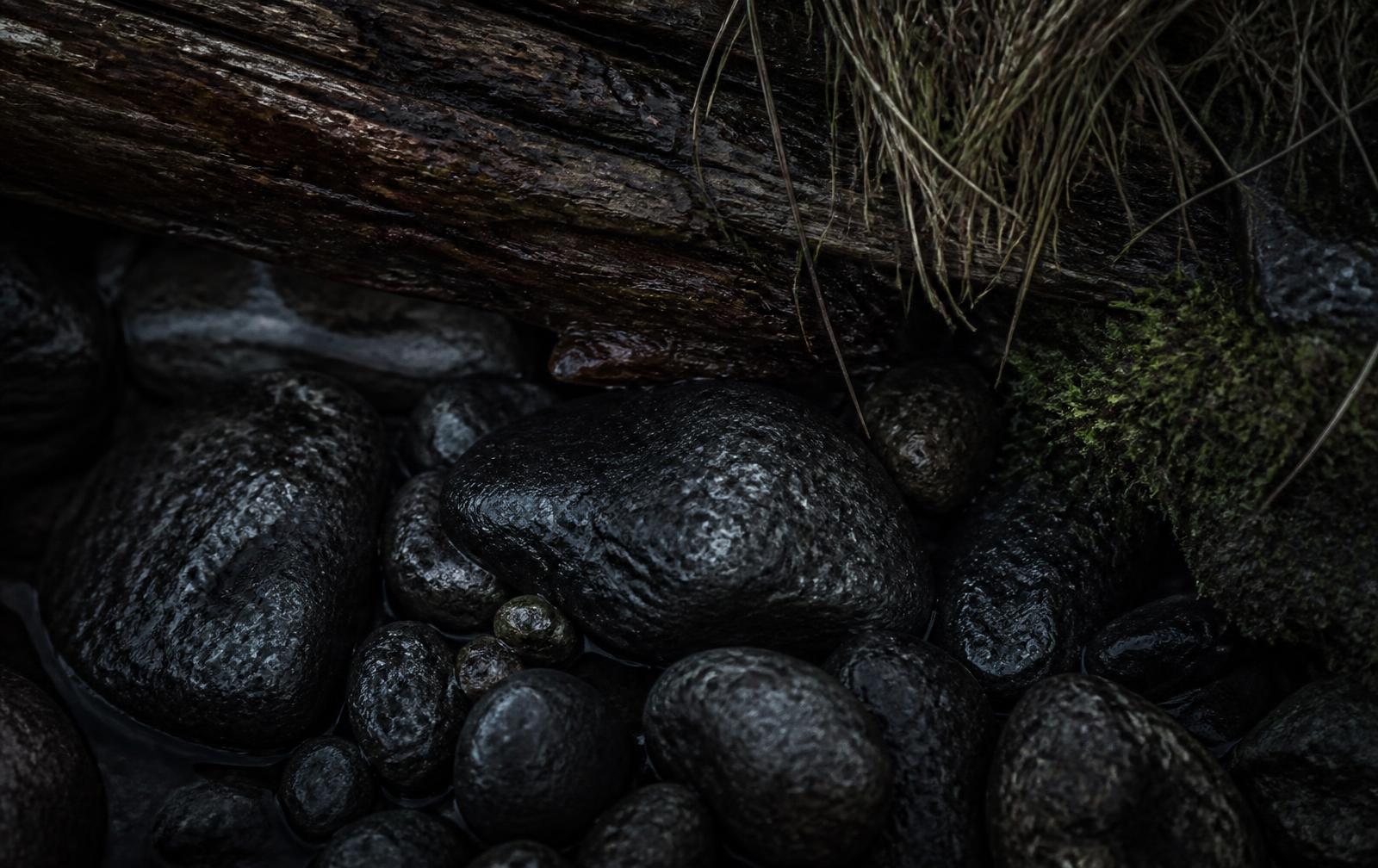 Wet dark river stones, damp weathered wood and mountain moss in low natural light